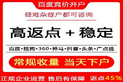 SEM广告的精准定向技巧与成功案例解析